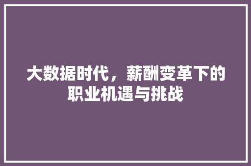 大数据时代，薪酬变革下的职业机遇与挑战 电脑基础