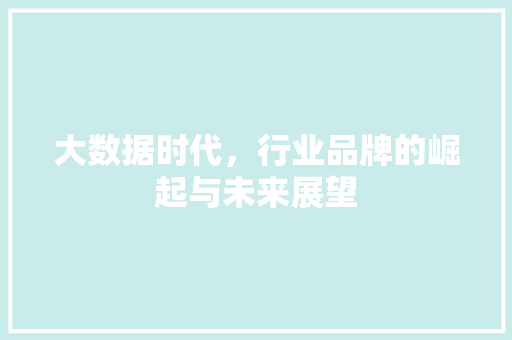 大数据时代,行业品牌的崛起与未来展望 电脑基础 大数据时代,行业品牌的崛起与未来展望 电脑基础
