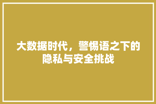大数据时代，警惕语之下的隐私与安全挑战