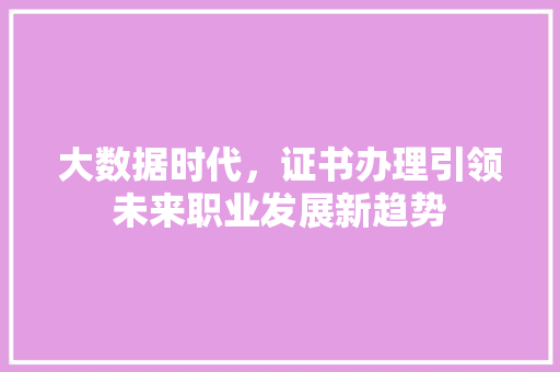 大数据时代，证书办理引领未来职业发展新趋势