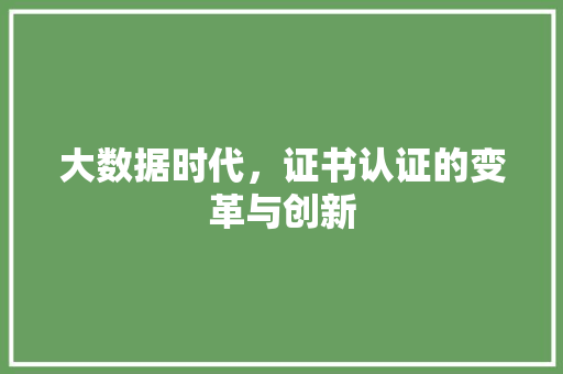 大数据时代，证书认证的变革与创新 电脑基础