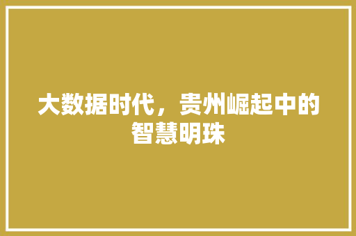 大数据时代,贵州崛起中的智慧明珠 操作系统 大数据时代,贵州崛起中的智慧明珠 操作系统