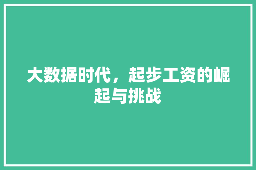 大数据时代，起步工资的崛起与挑战