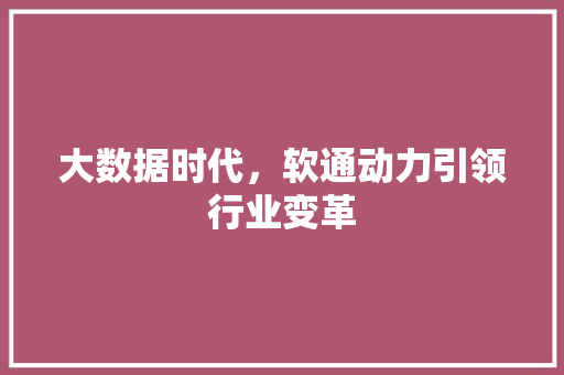 大数据时代，软通动力引领行业变革 编程语言