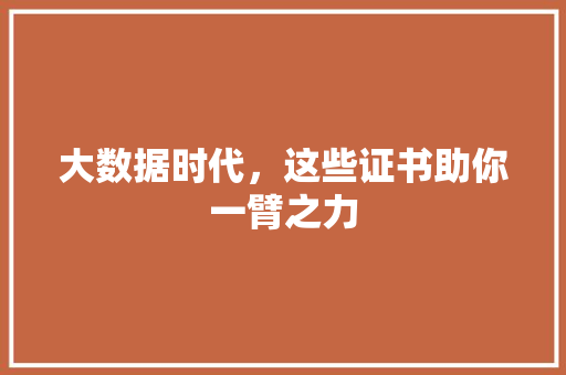 大数据时代，这些证书助你一臂之力 电脑基础
