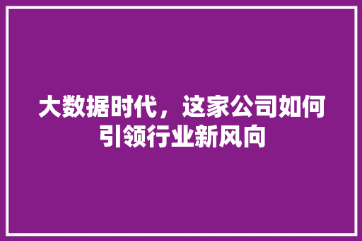 大数据时代，这家公司如何引领行业新风向