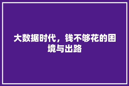 大数据时代，钱不够花的困境与出路 网络技术