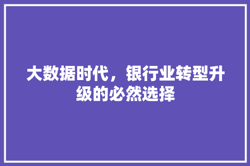 大数据时代，银行业转型升级的必然选择 电脑基础