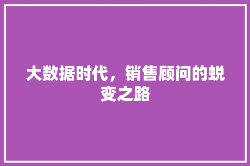 大数据时代，销售顾问的蜕变之路 电脑故障维修