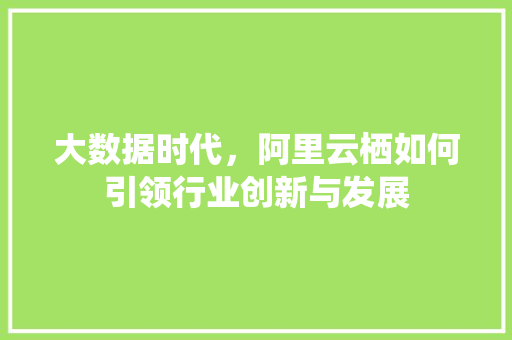 大数据时代，阿里云栖如何引领行业创新与发展 电脑配置
