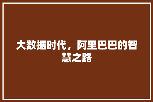 大数据时代，阿里巴巴的智慧之路 操作系统