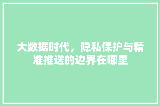 大数据时代，隐私保护与精准推送的边界在哪里 编程语言
