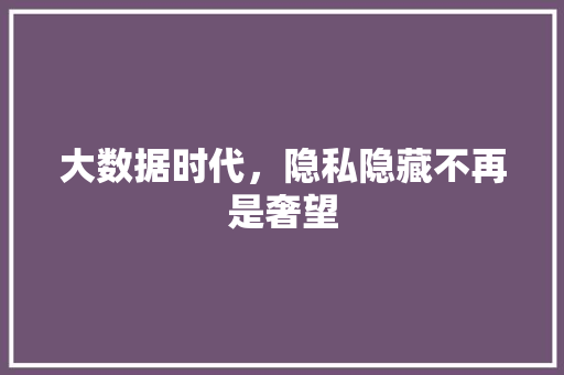 大数据时代，隐私隐藏不再是奢望 操作系统