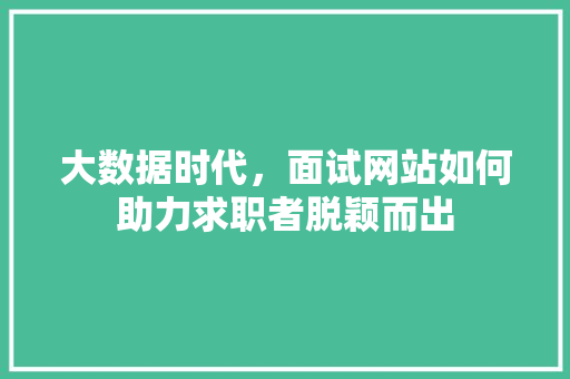 大数据时代，面试网站如何助力求职者脱颖而出