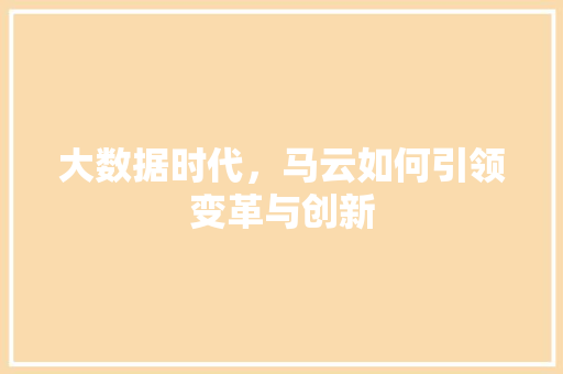 大数据时代，马云如何引领变革与创新