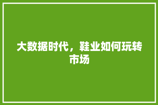 大数据时代，鞋业如何玩转市场