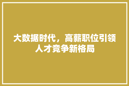 大数据时代，高薪职位引领人才竞争新格局