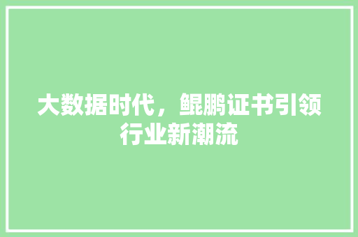 大数据时代，鲲鹏证书引领行业新潮流