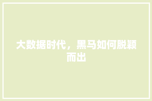大数据时代，黑马如何脱颖而出