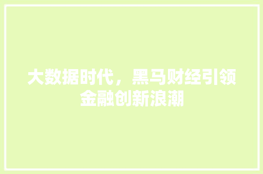 大数据时代，黑马财经引领金融创新浪潮