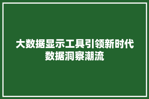 大数据显示工具引领新时代数据洞察潮流