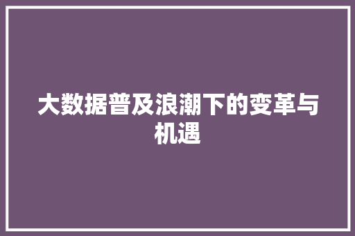 大数据普及浪潮下的变革与机遇