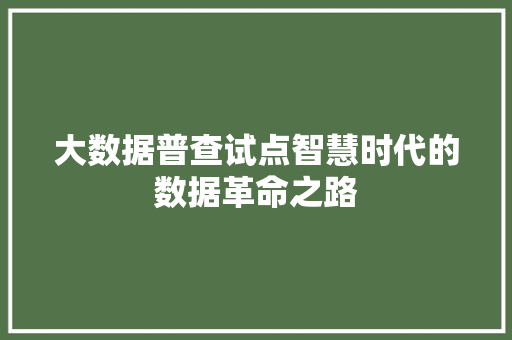 大数据普查试点智慧时代的数据革命之路