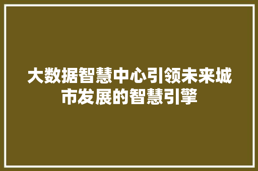 大数据智慧中心引领未来城市发展的智慧引擎
