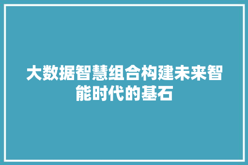 大数据智慧组合构建未来智能时代的基石
