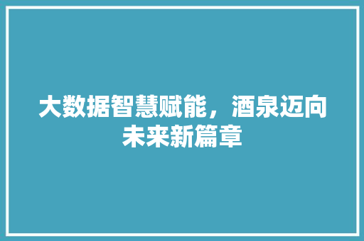 大数据智慧赋能，酒泉迈向未来新篇章