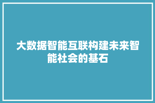 大数据智能互联构建未来智能社会的基石