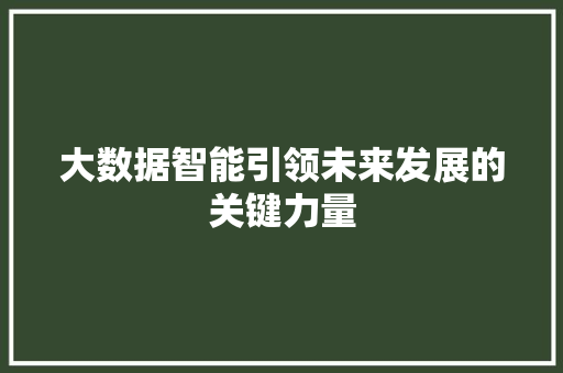 大数据智能引领未来发展的关键力量