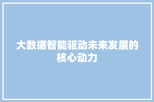大数据智能驱动未来发展的核心动力