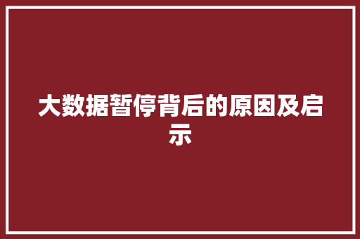 大数据暂停背后的原因及启示