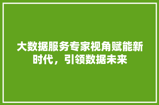 大数据服务专家视角赋能新时代，引领数据未来