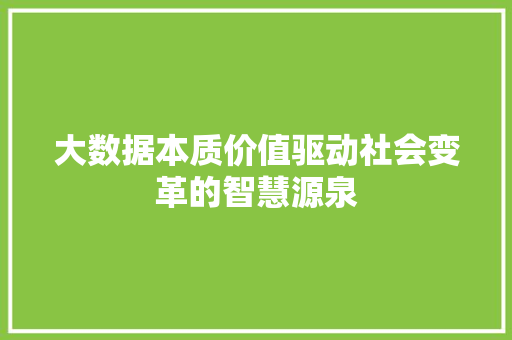大数据本质价值驱动社会变革的智慧源泉