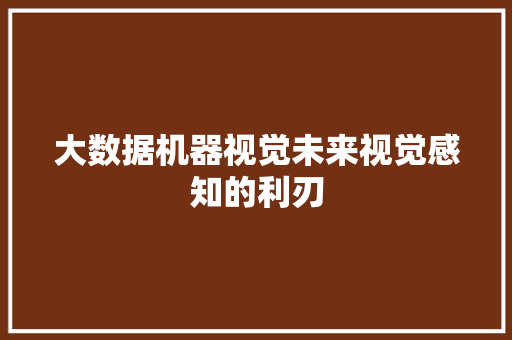 大数据机器视觉未来视觉感知的利刃