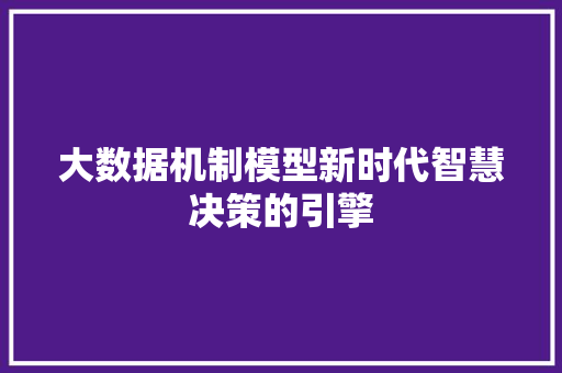 大数据机制模型新时代智慧决策的引擎
