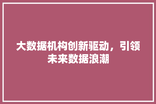 大数据机构创新驱动，引领未来数据浪潮 电脑故障维修