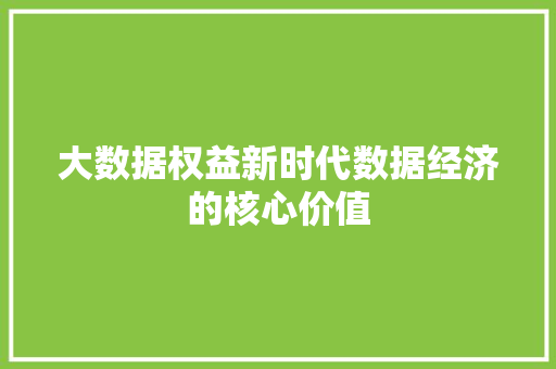 大数据权益新时代数据经济的核心价值