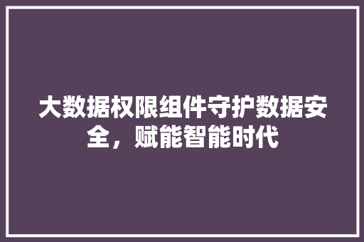 大数据权限组件守护数据安全，赋能智能时代