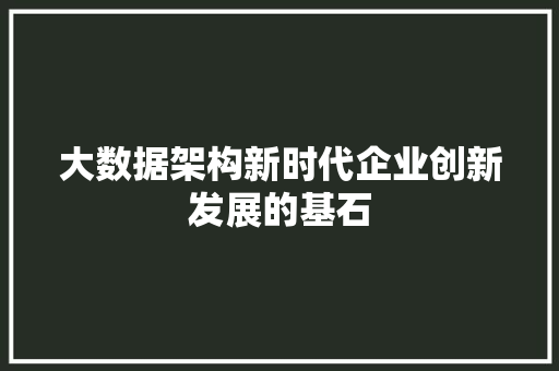 大数据架构新时代企业创新发展的基石 大数据架构新时代企业创新发展的基石