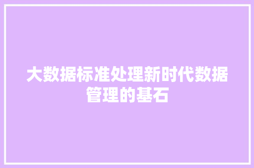 大数据标准处理新时代数据管理的基石 大数据标准处理新时代数据管理的基石