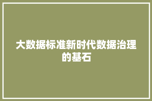 大数据标准新时代数据治理的基石 大数据标准新时代数据治理的基石