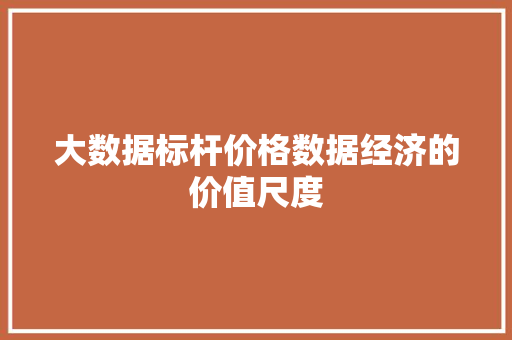 大数据标杆价格数据经济的价值尺度