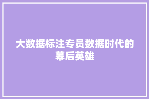 大数据标注专员数据时代的幕后英雄 大数据标注专员数据时代的幕后英雄