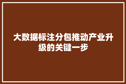 大数据标注分包推动产业升级的关键一步 大数据标注分包推动产业升级的关键一步