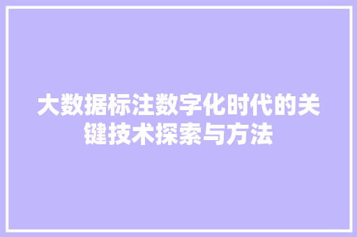 大数据标注数字化时代的关键技术探索与方法