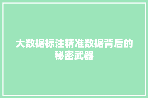 大数据标注精准数据背后的秘密武器