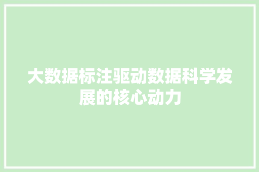 大数据标注驱动数据科学发展的核心动力
